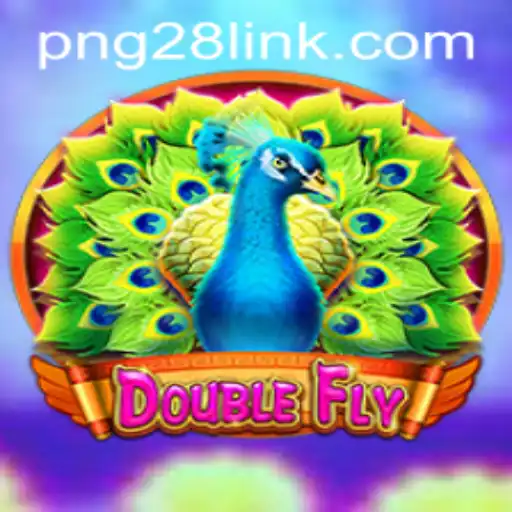 DoubleFly: Navigating Adventures in the Skies with PNG28